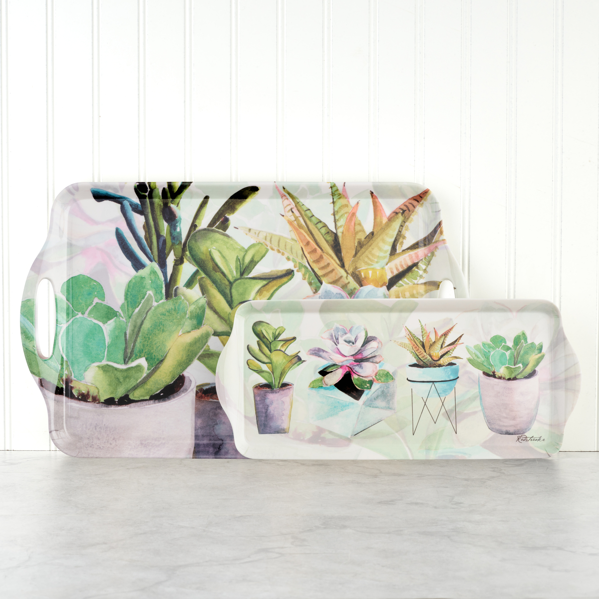 Succulents Sandwich Tray image number null