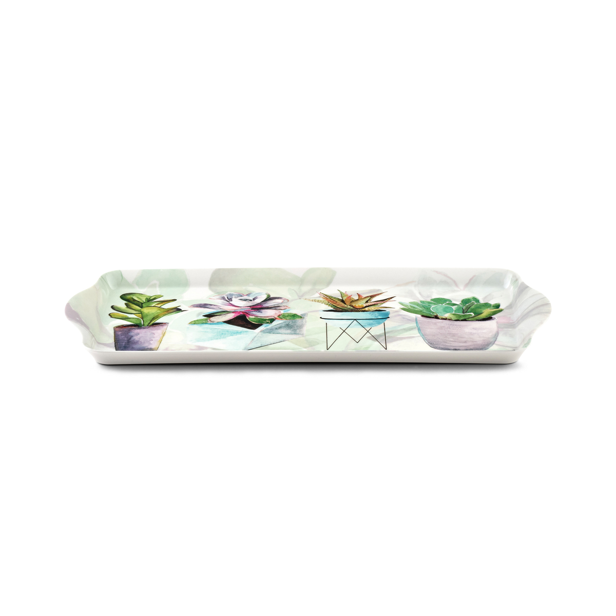 Succulents Sandwich Tray image number null