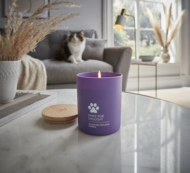 HomeScenter Paws for Thought Candle
