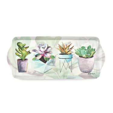 Succulents Sandwich Tray