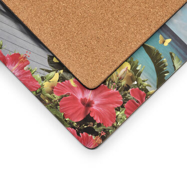 In the Sunshine LargeÂ Placemats set of 4