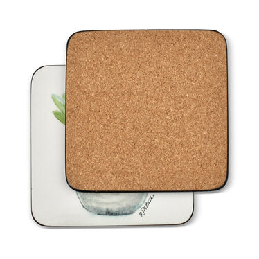 Succulents Set of 6 Coasters