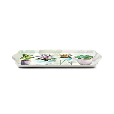 Succulents Sandwich Tray