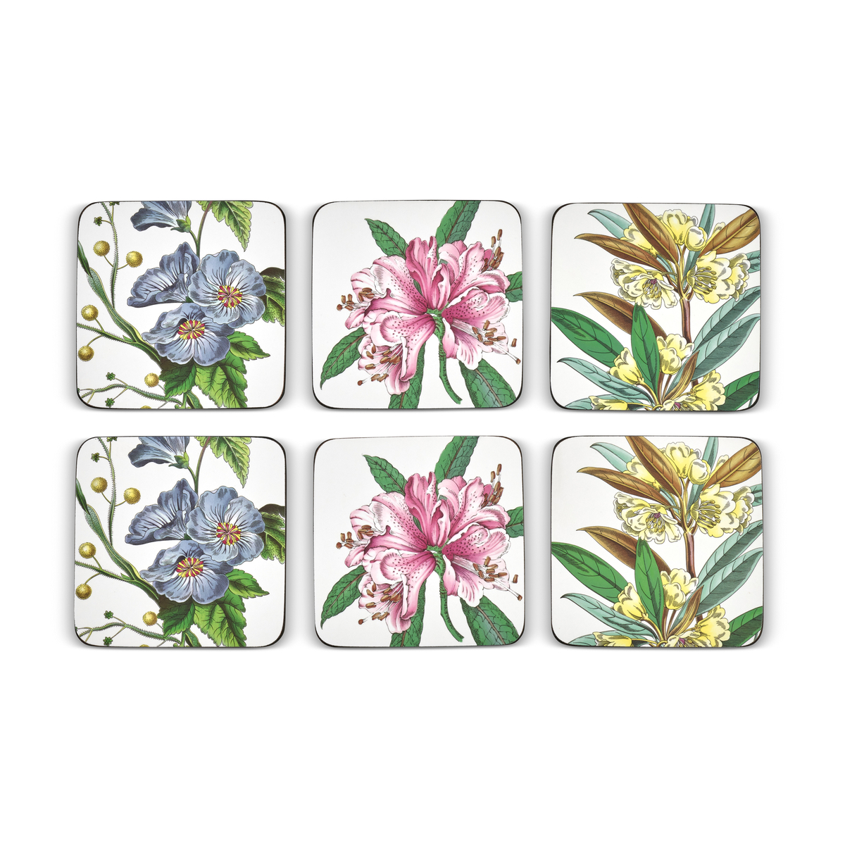 Pimpernel Stafford Blooms Coasters Set of 6 image number null