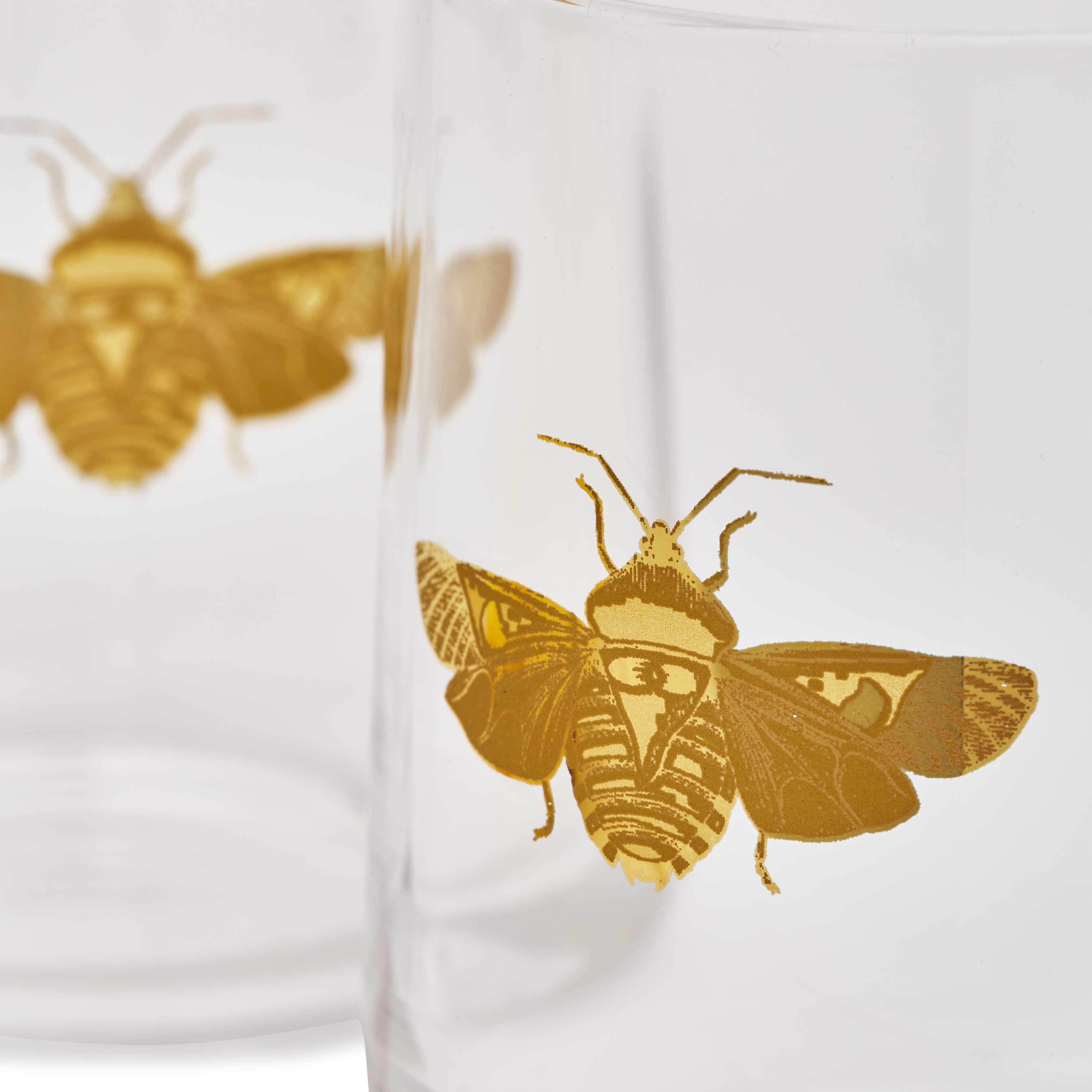 Spode Creatures of Curiosity Set of 2 Golden Stem Wine Glasses