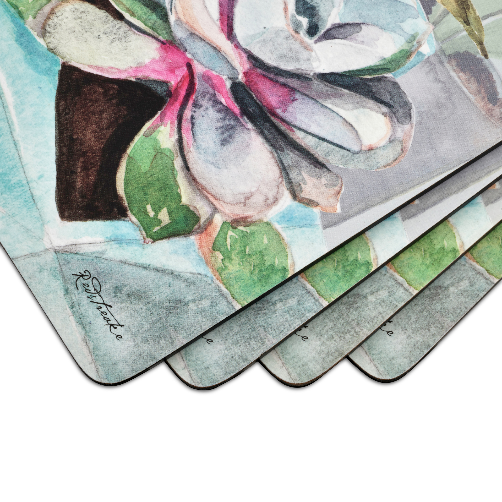 Succulents Set of 4 Placemats image number null