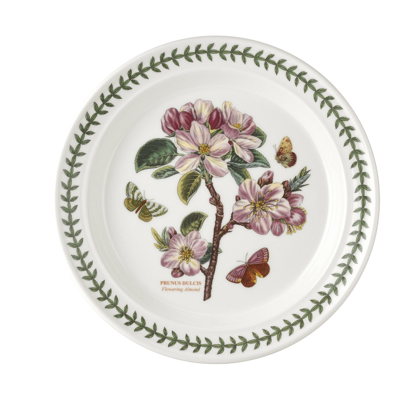 Botanic Garden Flowering Almond Dinner Plate image number null