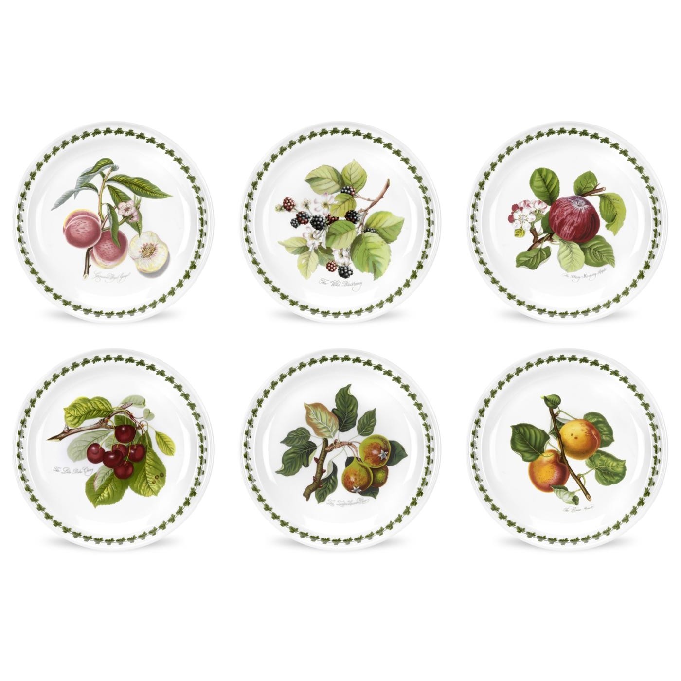 Pomona 10.5 Inch Dinner Plate Set of 6 (Assorted Motifs) image number null