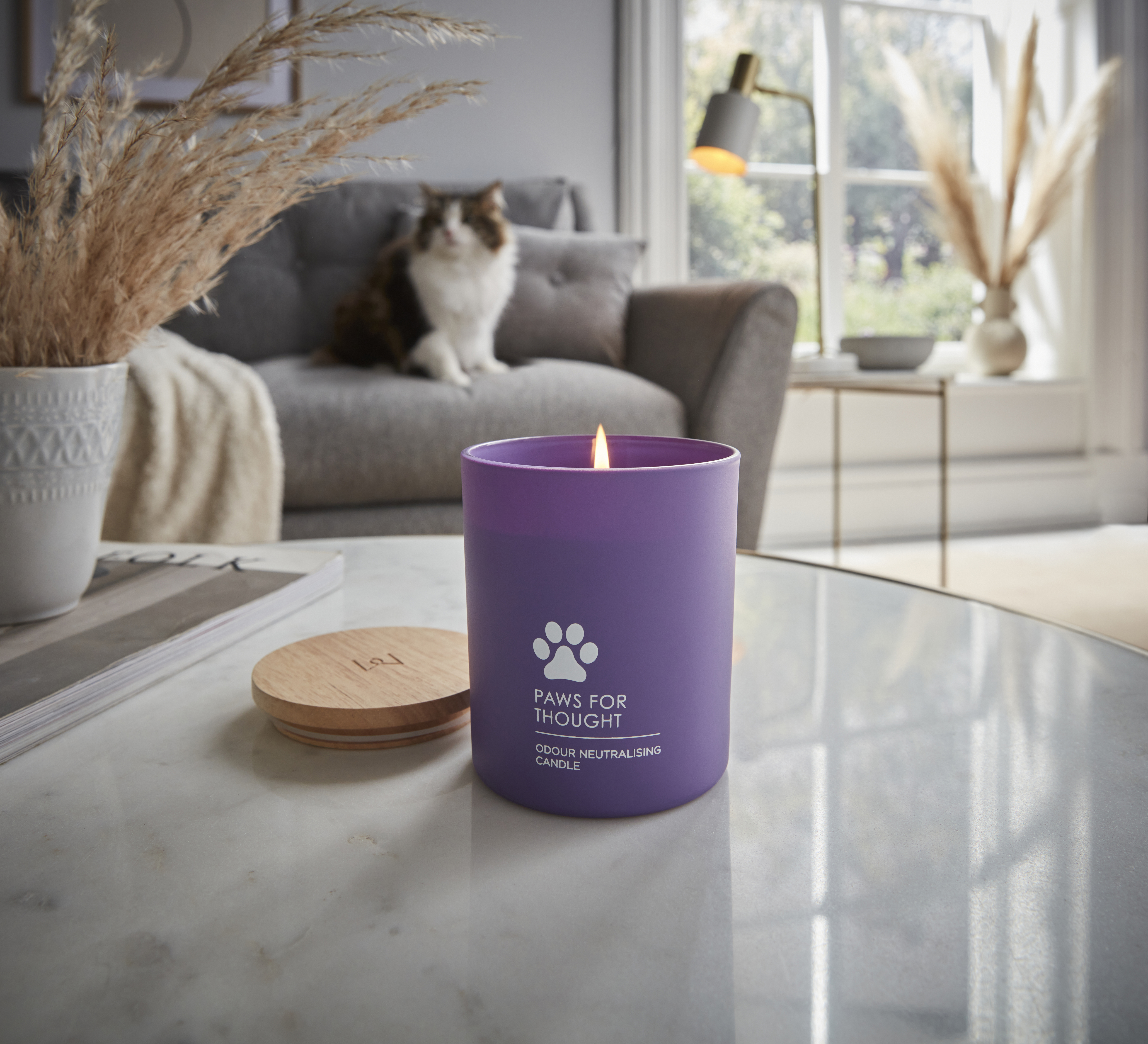 HomeScenter Paws for Thought Candle image number null