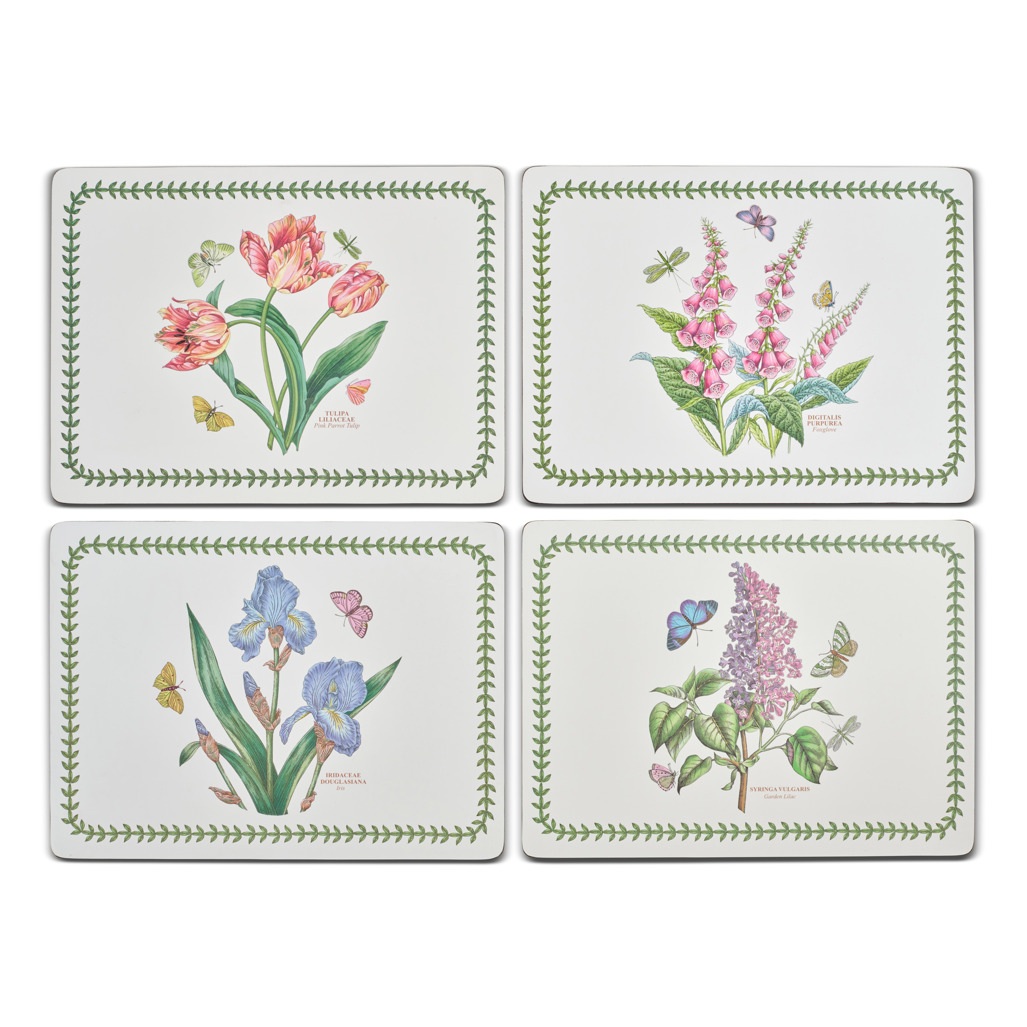 Botanic Garden Set of 4 Large Placemats image number null