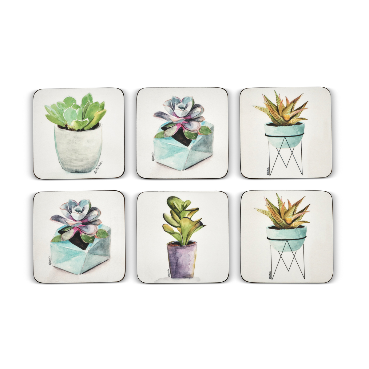 Succulents Coasters Set of 6 image number null