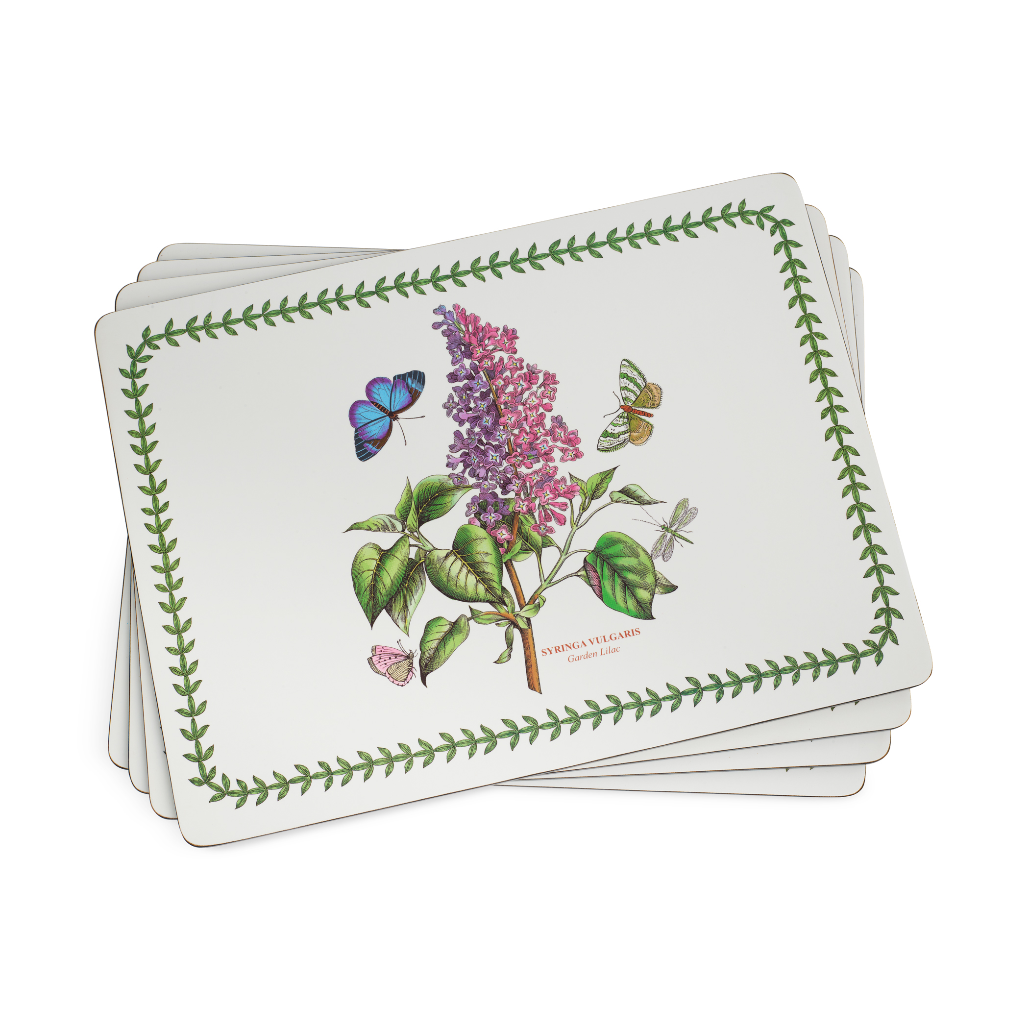 Botanic Garden Set of 4 Large Placemats image number null
