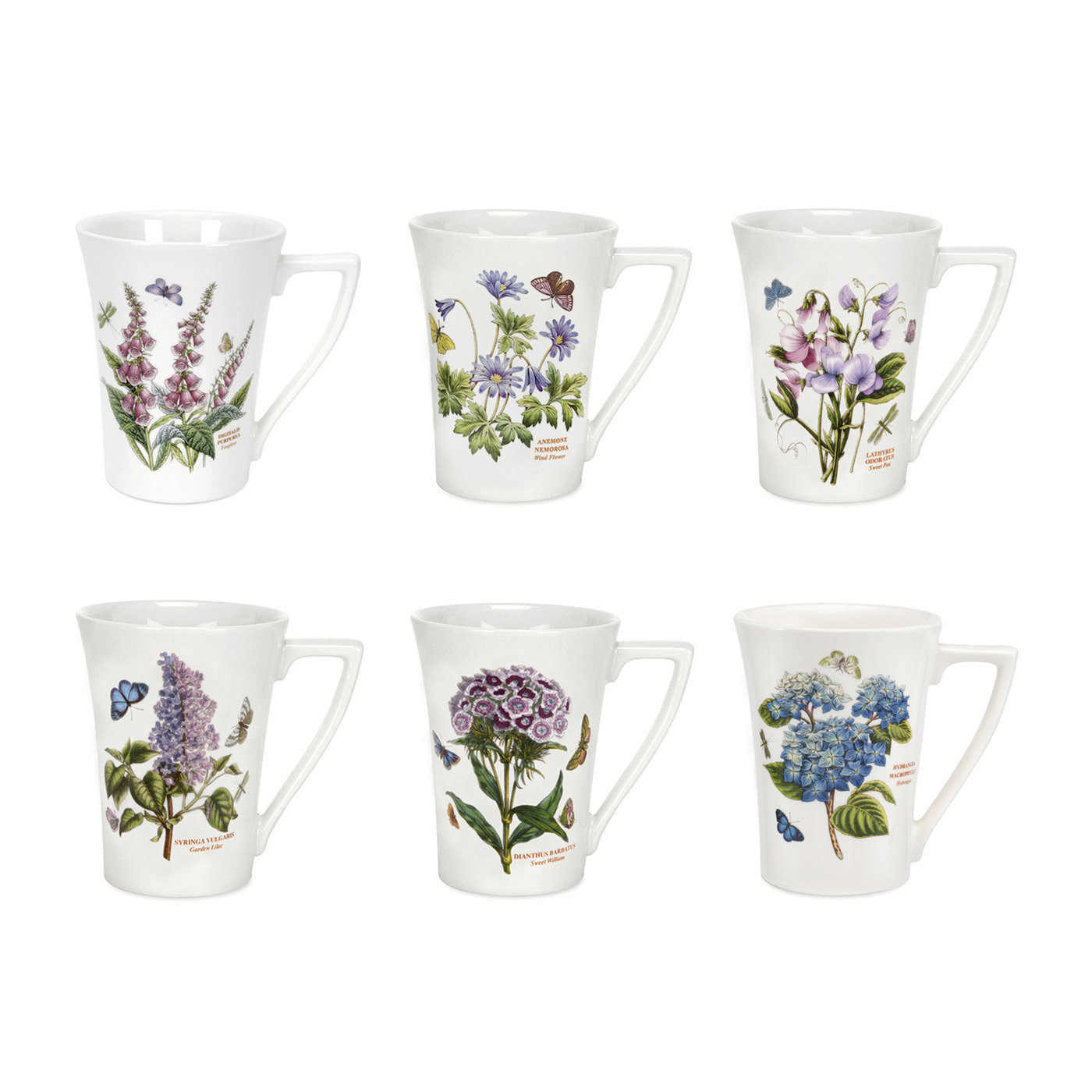 Botanic Garden Set of 6 Mandarin Shape Mugs image number null