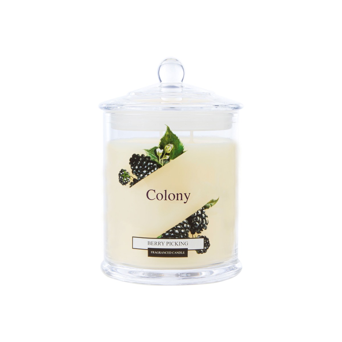 Colony Berry Picking Candle Jar image number null