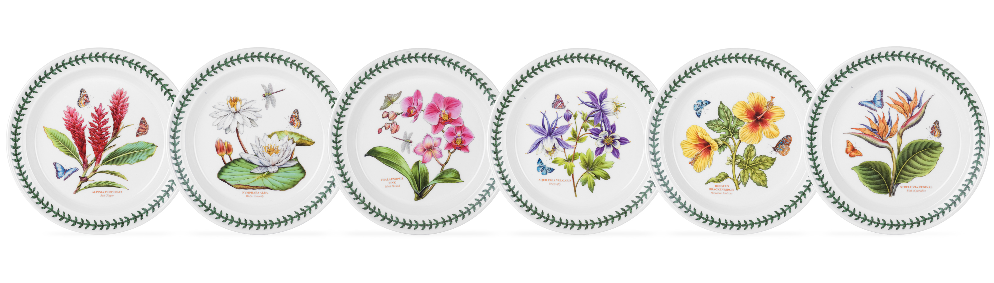 Portmeirion Exotic Botanic Garden Salad Plate with Hibiscus Motif 