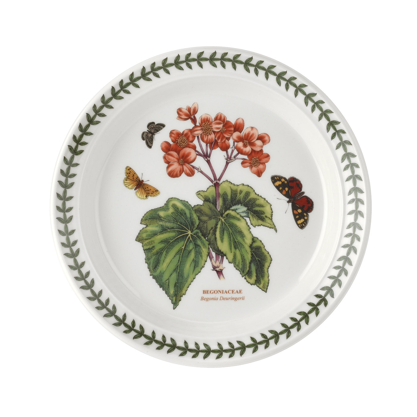 Botanic Garden 8.5 Inch Begonia Plate image number null